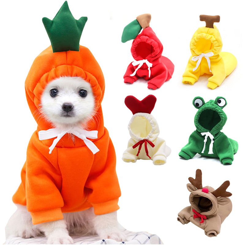 Cute Holiday and Year Round Outfits for Cats & Dogs