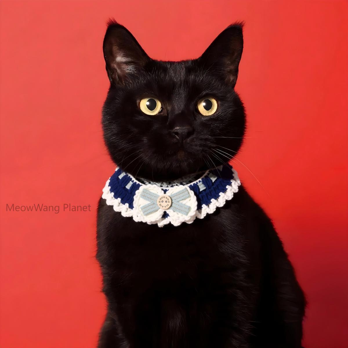 Beautiful Knitted Pet Collar for Cats & Small Dogs