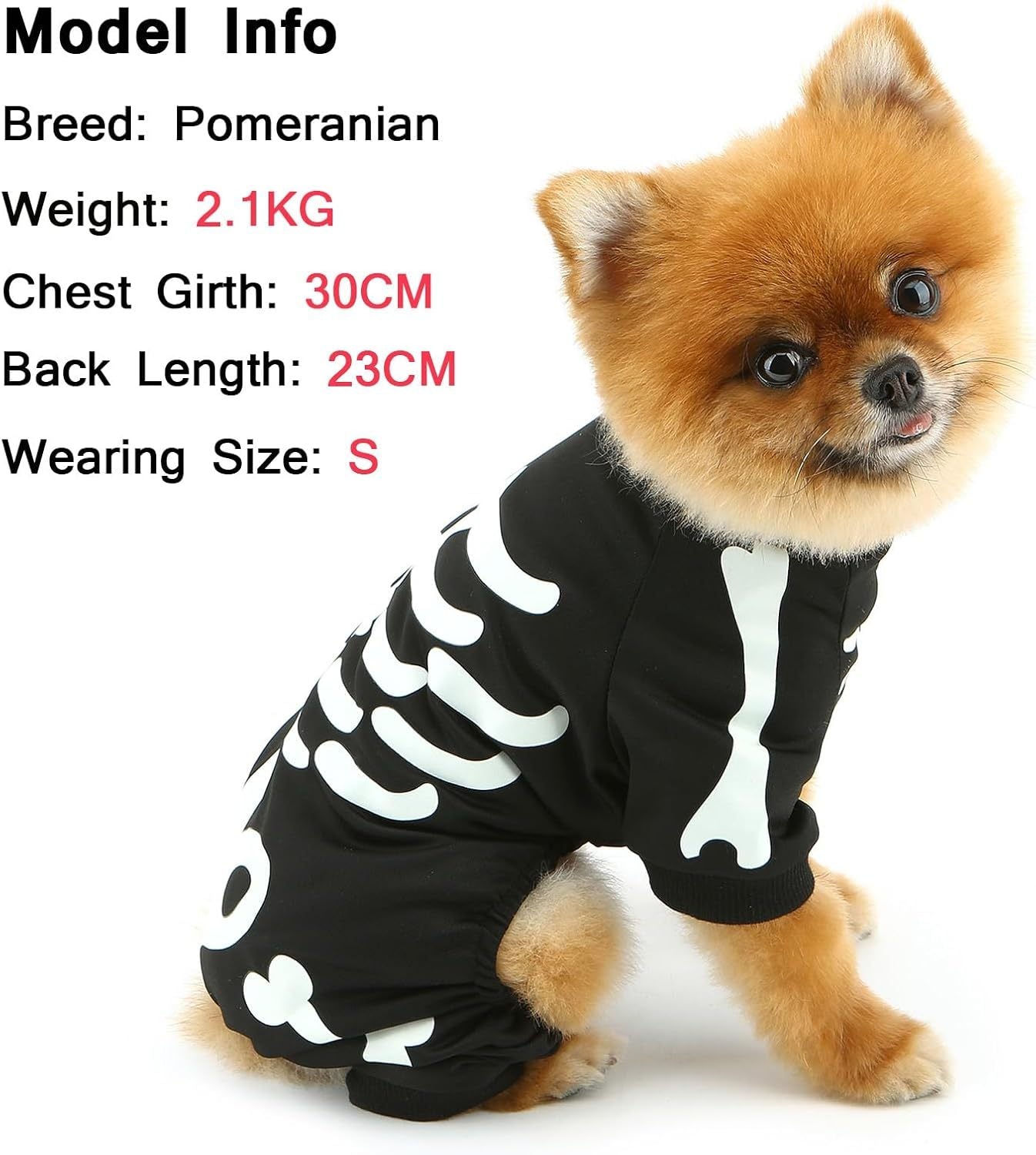 Comfortable Glow in the Dark Skeleton Halloween Costume for Cats & Dogs