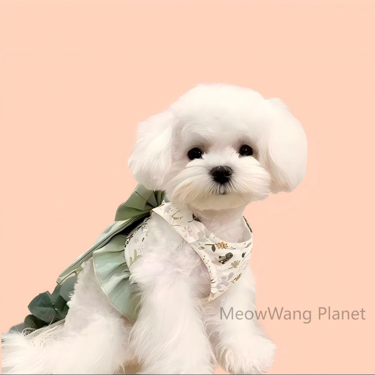 Elegant Bow Harness + Leash Set for Cats & Small Dogs