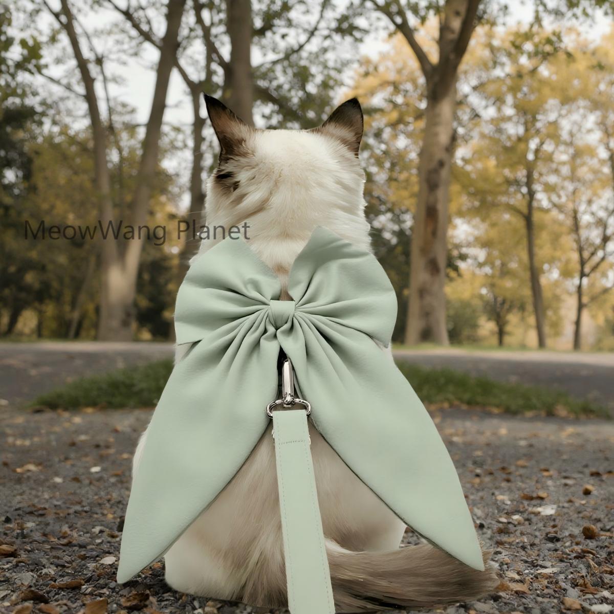 Elegant Bow Harness + Leash Set for Cats & Small Dogs
