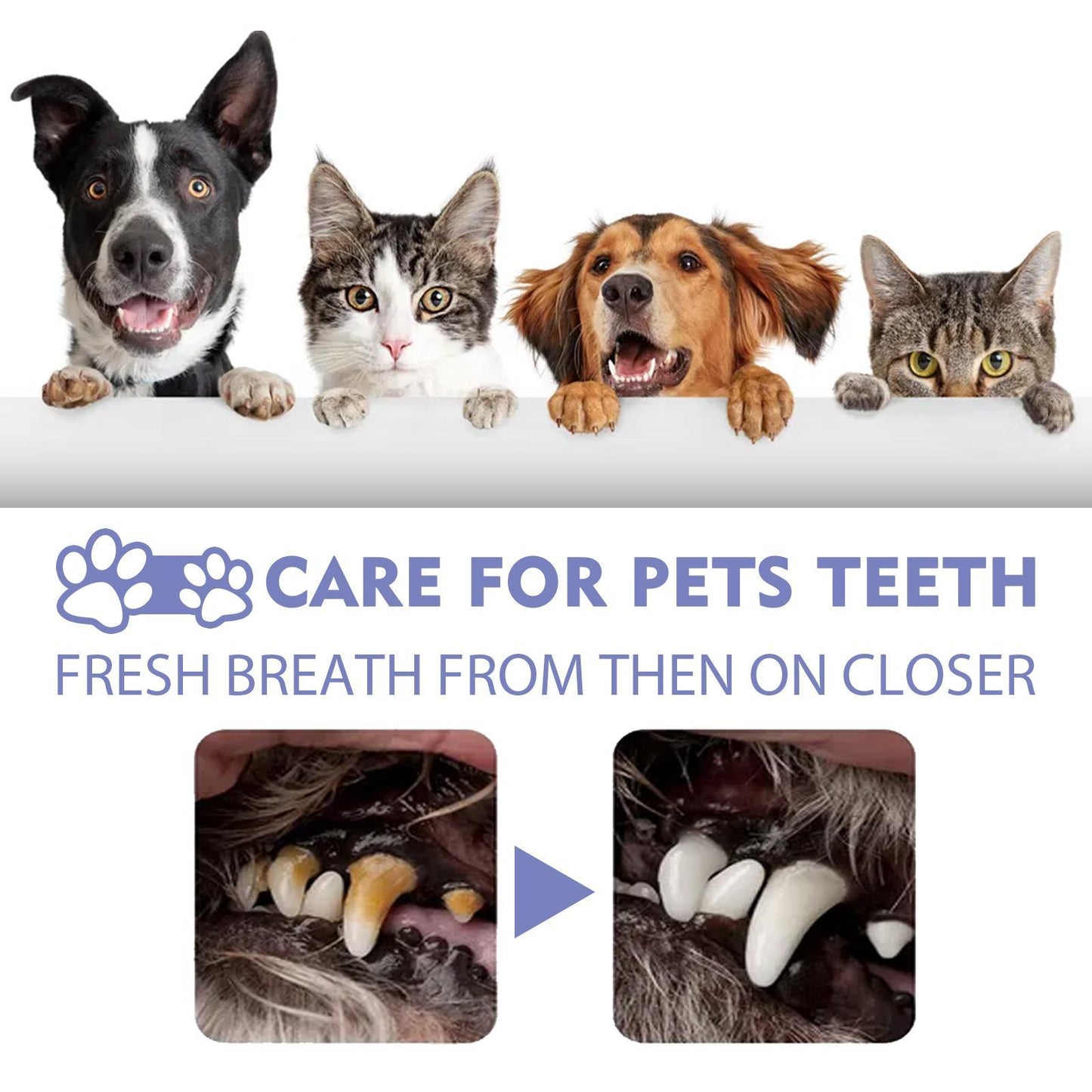 Yegbong Oral Cleaning Breath Deodorizer for Cats & Dogs