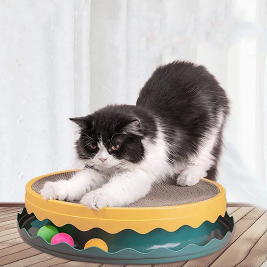 Compass Fun Interactive Cat Scratching Board