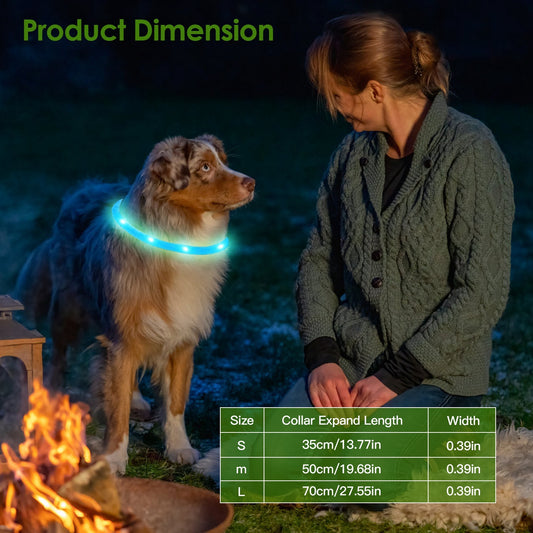 USB Rechargeable LED with Multi Color Lighting for Cats & Dogs