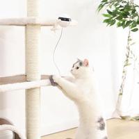 Interactive Electronic Motion Cat Toy (Fun to watch)