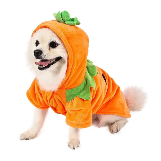 Adorable Halloween Pumpkin Costume for Dogs