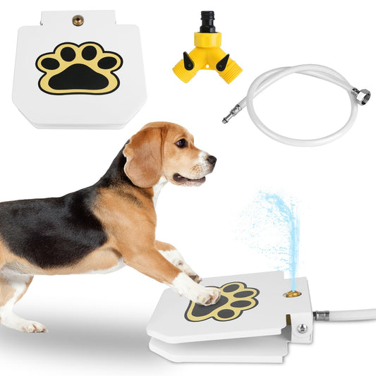 Paw Activated Water Dispenser for Dogs