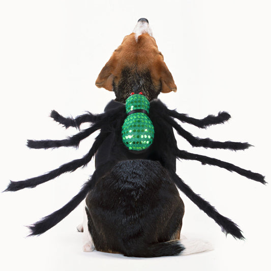 Sequined Spider Halloween Costume for Cats & Dogs