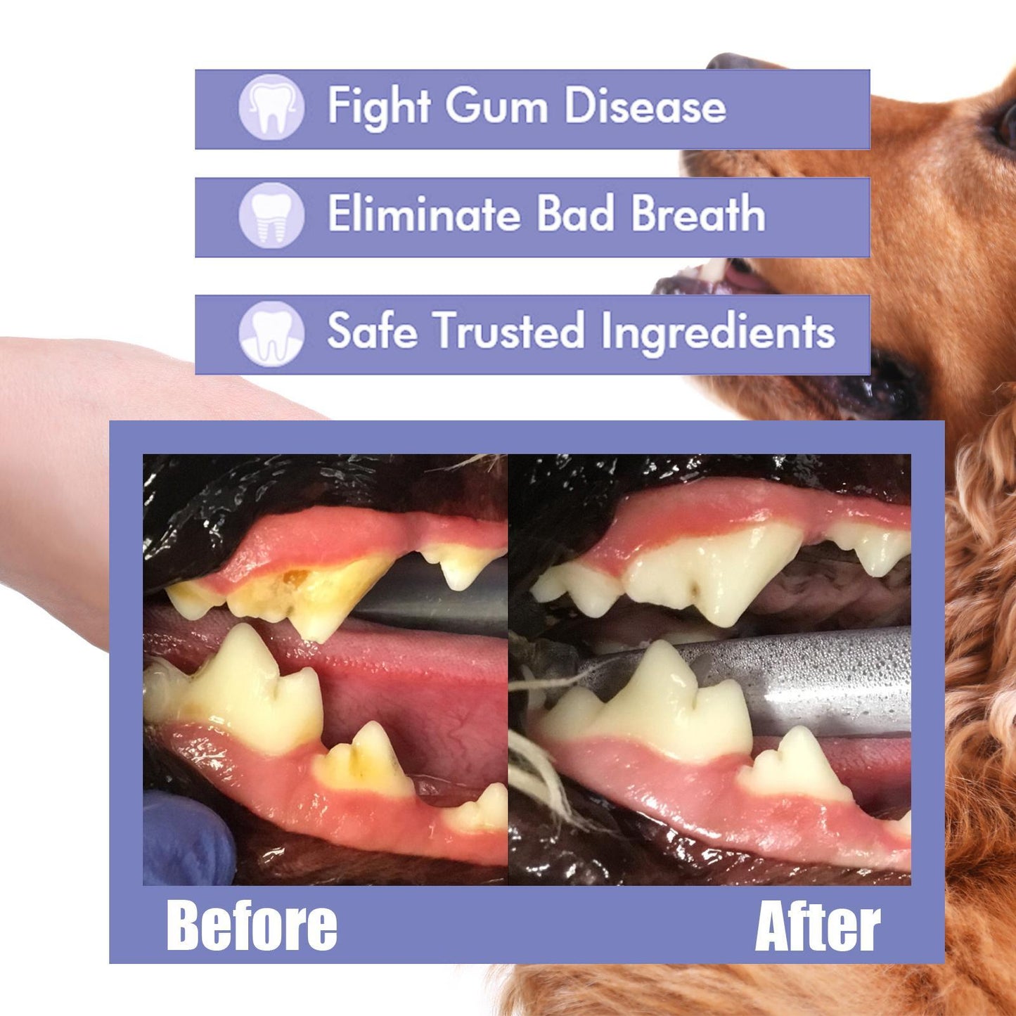Yegbong Oral Cleaning Breath Deodorizer for Cats & Dogs