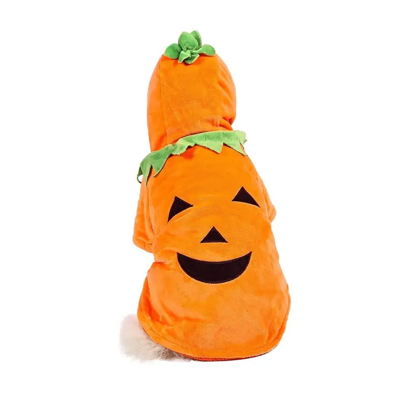 Adorable Halloween Pumpkin Costume for Dogs