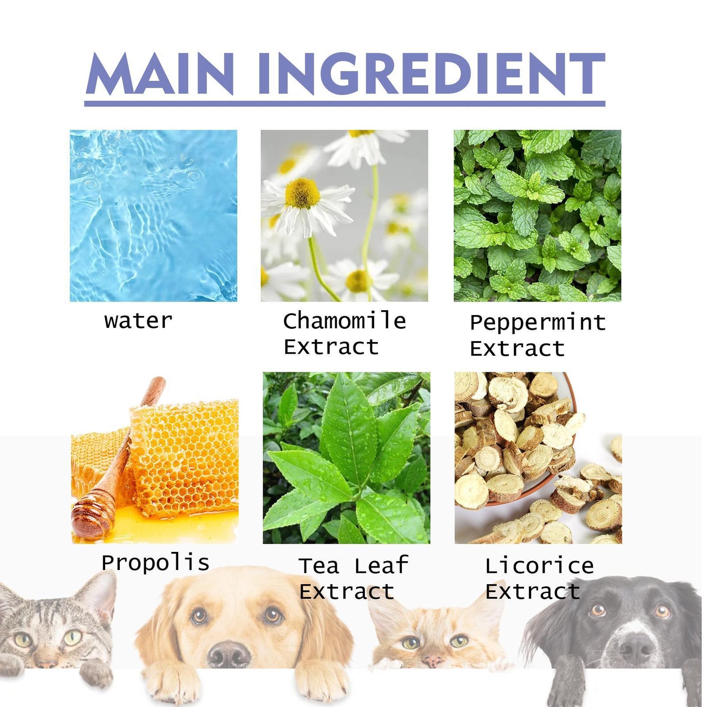 Yegbong Teeth Cleaning Spray for Cats & Dogs