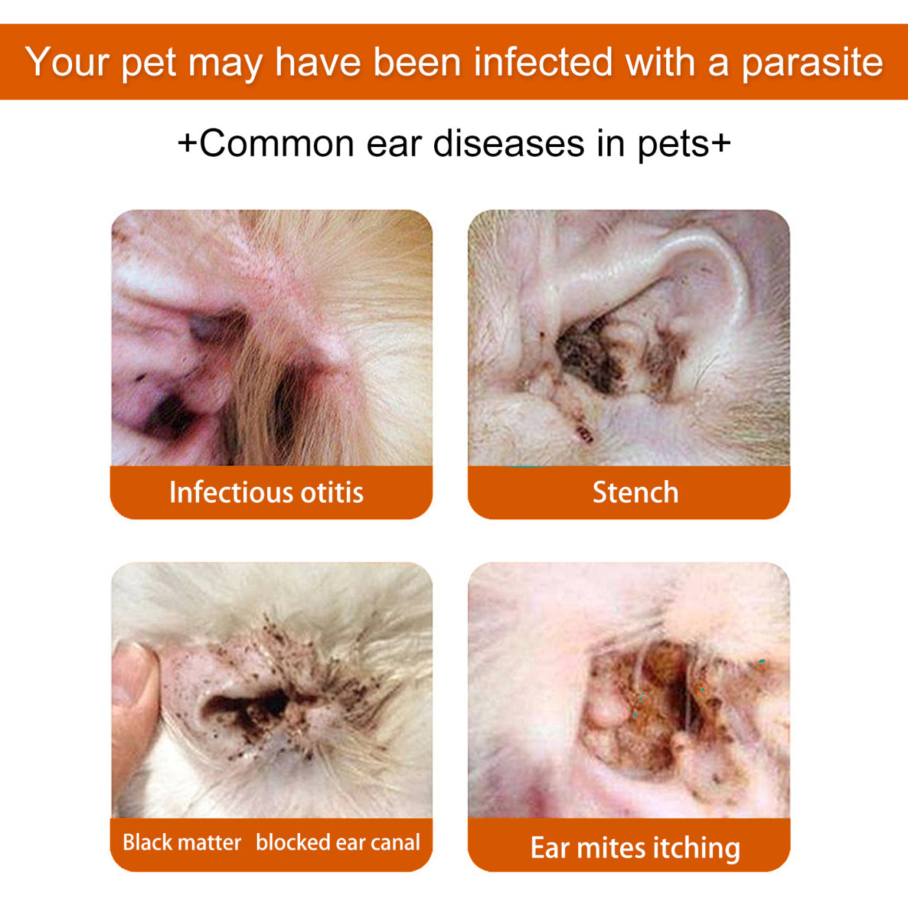 Yegbong Anti-Odor + Anti-Ear Mite Cleaning Wipes for Cats & Dogs