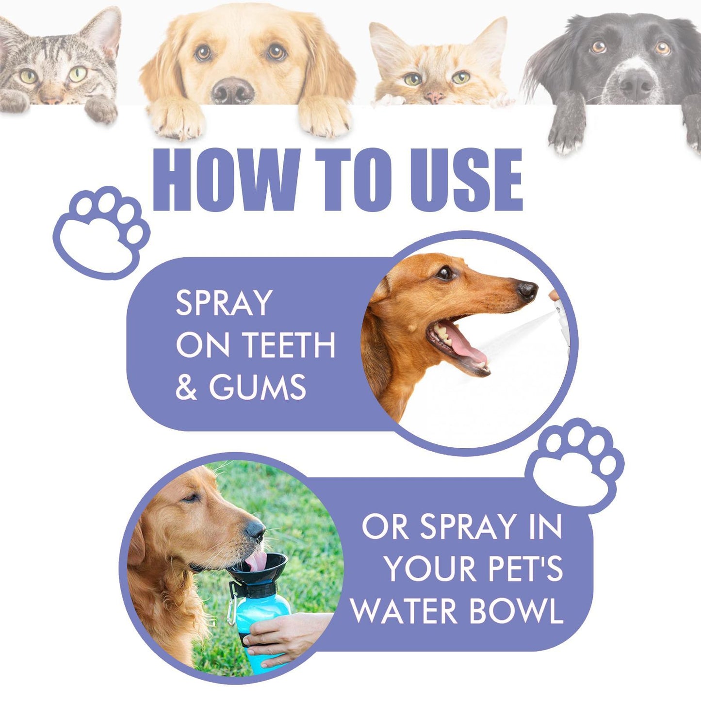 Yegbong Oral Cleaning Breath Deodorizer for Cats & Dogs