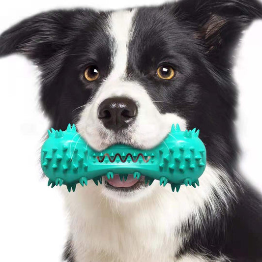 Rubber Molar Stick Oral Cleaning Chew Toy for Dogs (Durable for Aggressive Dogs)