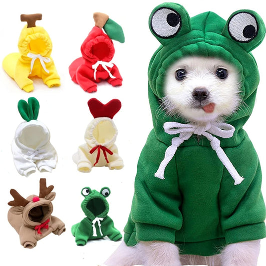 Cute Holiday and Year Round Outfits for Cats & Dogs