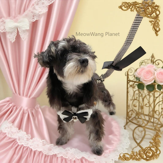 Luxury Lace Harness + Leash Set for Cats & Small Dogs