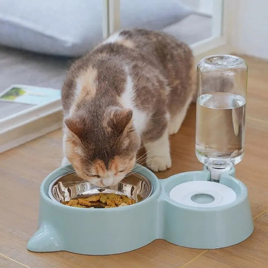 Automatic Water Dispenser and Food Bowl for Cats
