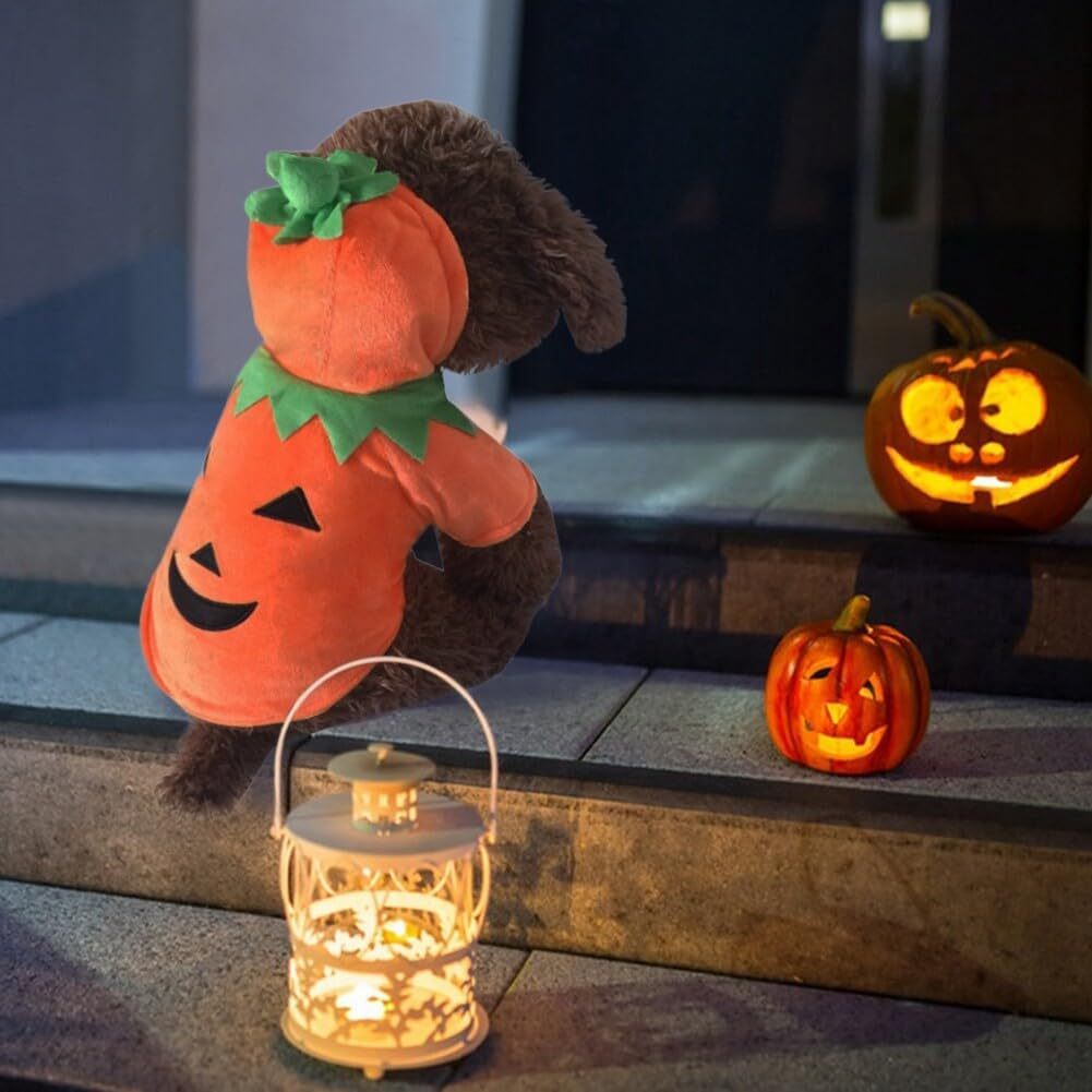 Adorable Halloween Pumpkin Costume for Dogs