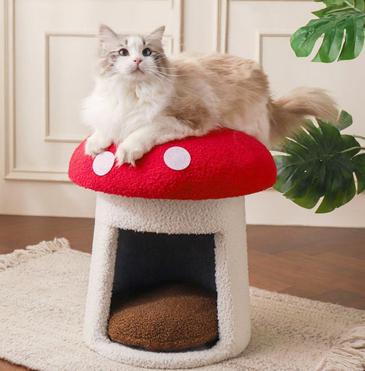 Creative Large Umbrella Mushroom Pet Cove for Cats & Dogs