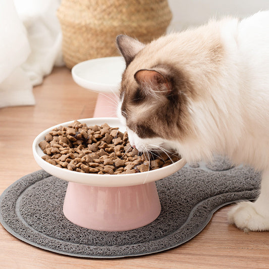 Elevated Vertebrae & Whisker Protective Ceramic Food Bowl for Cats
