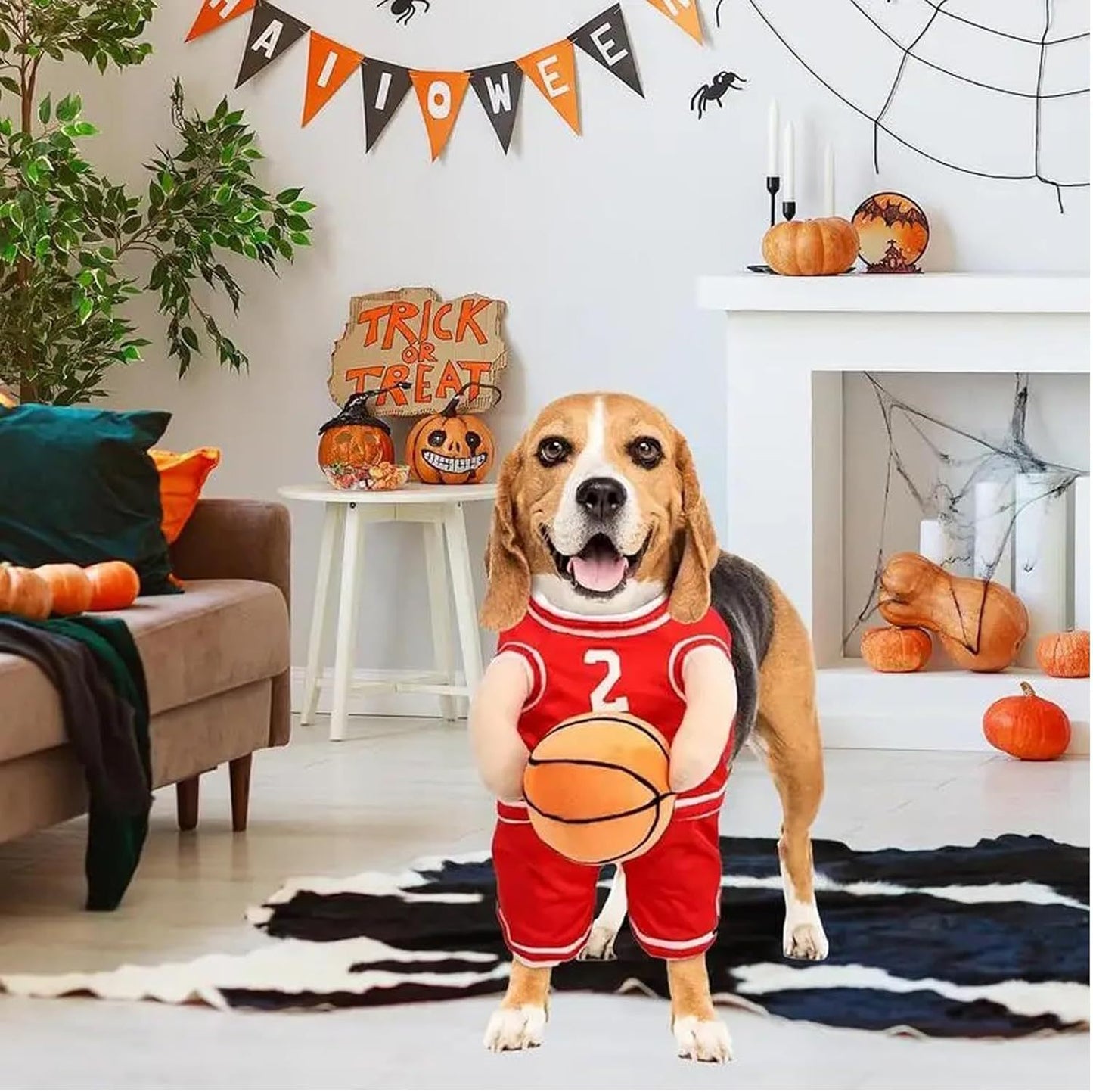 Funny Creative Sporty Basketball Player Halloween Costumes for Dogs