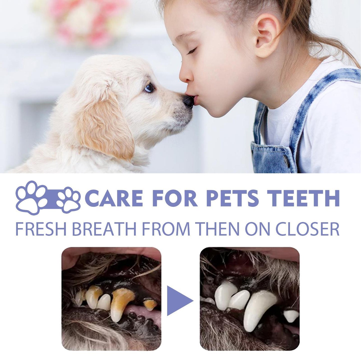 Yegbong Teeth Cleaning Spray for Cats & Dogs