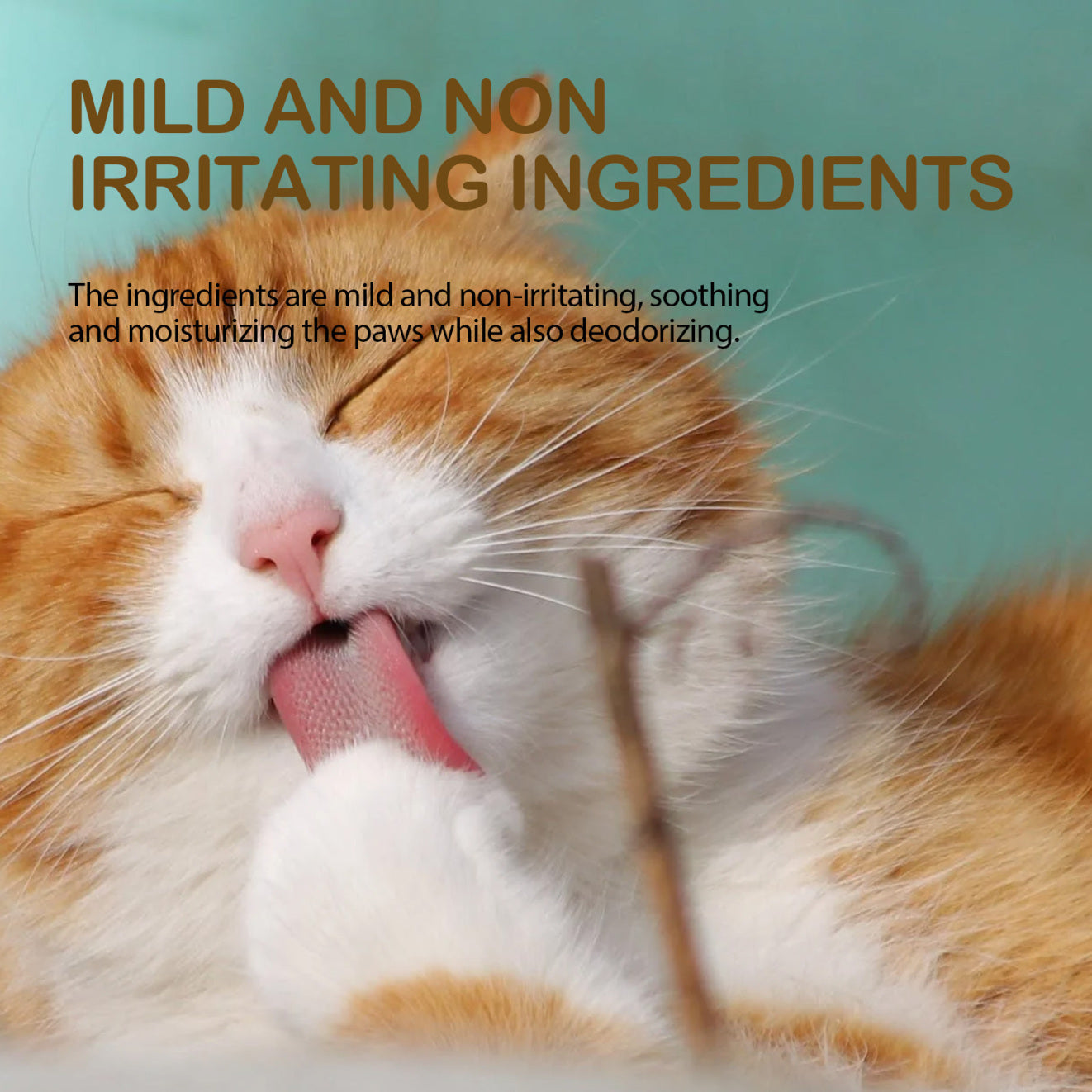 Yegbong Avocado Foot Balm Cleansing Care + Moisturizing and Crack-protection for Cats & Dogs
