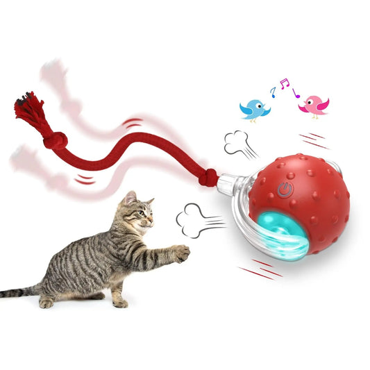 Smart Interactive Super Drive Cat Rolling Ball